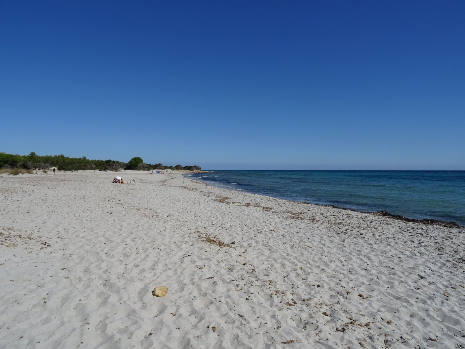 La spiaggia di Bidderosa vista verso nord, sabbia bianca e pineta