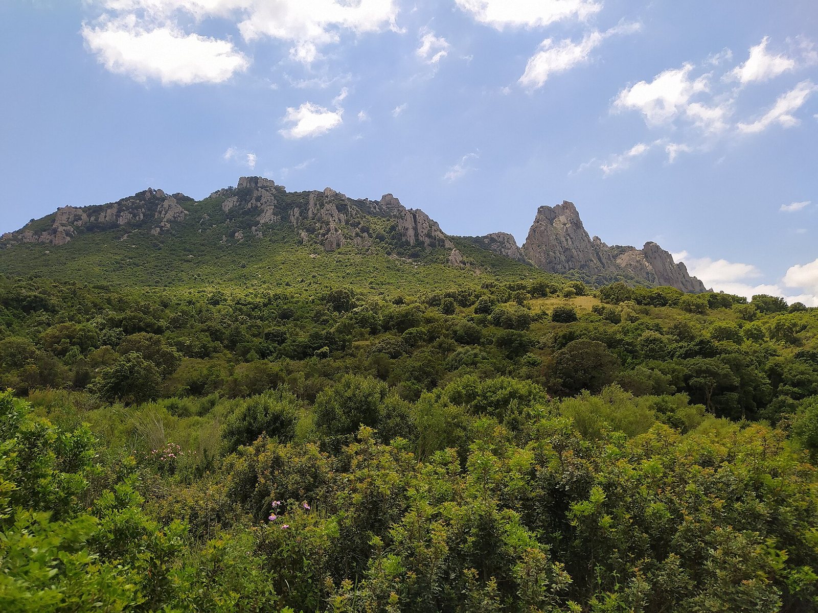 Le pendici del Monte Tepilora coperte di macchia mediterranea