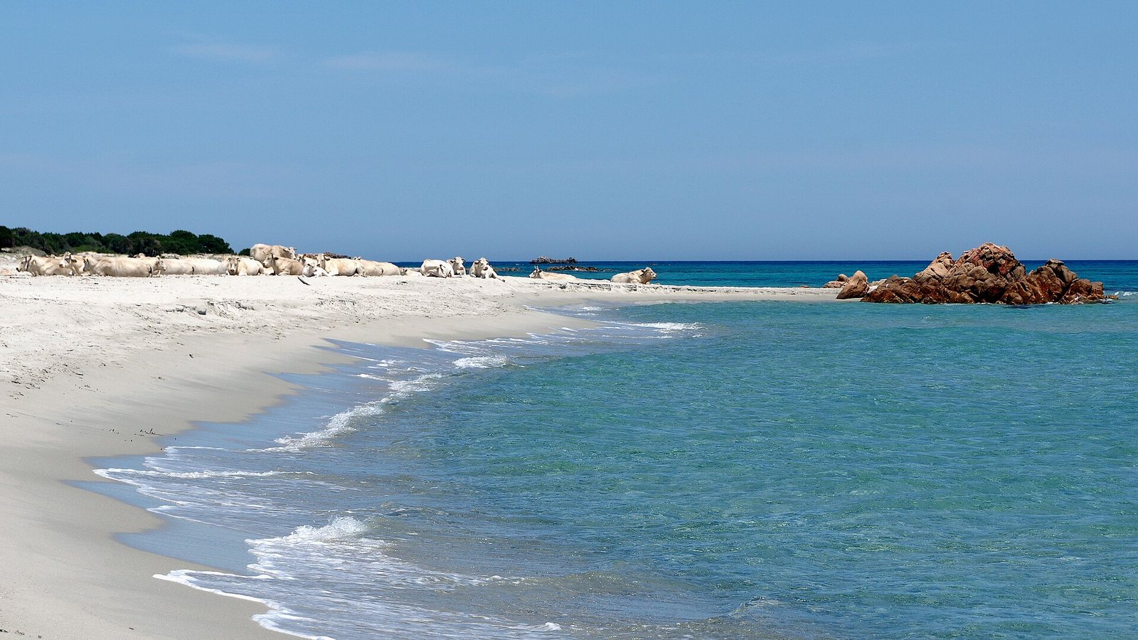 La spiaggia di Berchida, sabbia bianca e uno scoglio rosso in acqua